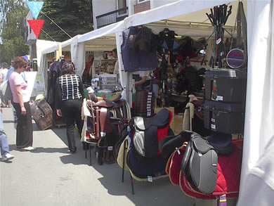 Sejem Novi Sad 2009