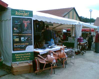 KŽS Gornja Radgona 2006
